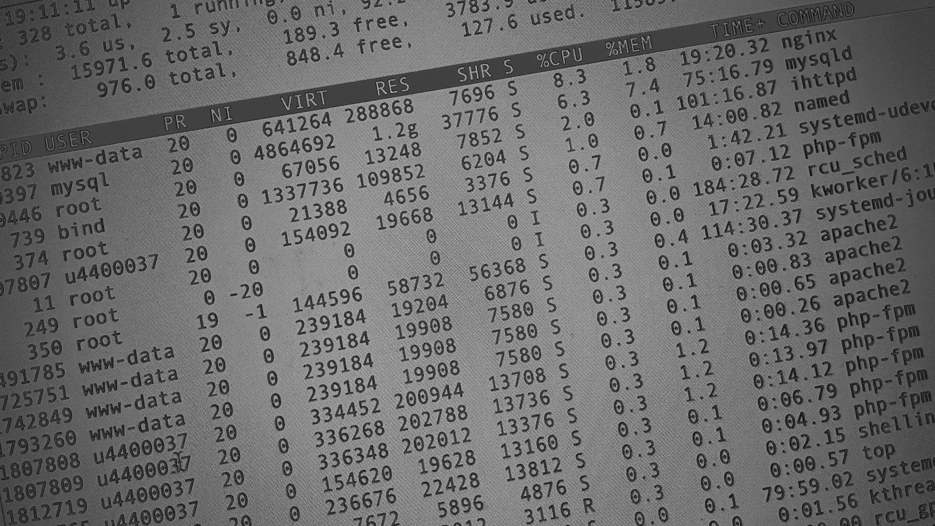 Настройка сервера в Ожерелье